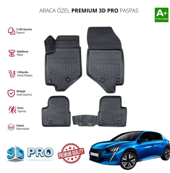 208 MK2 3D PASPAS 2019 2020 2021 2022 2023 2024 2025